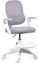 CHAIRS-ON Scaun de birou pentru copii cu brațe rabatabile și suport pentru picioare OFF 339 gri
