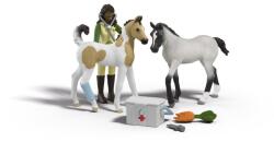 Schleich Schleich, Horse Club, Trusa de prim ajutor a lui Sarah, set, 42777 Figurina