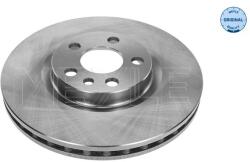 MEYLE Disc Frana Punte Fata 11-155210006 Citroën Evasion/Jumpy I Fiat Scudo/Ulysse (11-155210006)