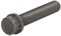 DEUTZ Surub Biela Surubul Tijei de Conectare Deutz (04286942-DEUTZ)