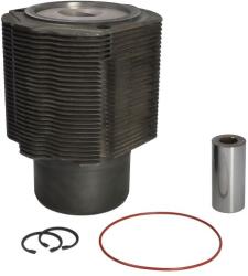 KOLBENSCHMIDT Set Reparatie Piston si Camasa 120mm Std, 45x96 Atlas Ab / Ab 02, Copco Pr; Case Ih 200, 300; Deutz Fahr M (92334980)