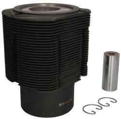 KOLBENSCHMIDT Set Reparatie Piston si Camasa Std Agco R62, R72; Deutz Fahr Dx 8.31, 250, 8.30, 4090 H (91043971)