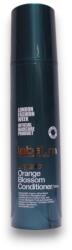 label.m Label. M, Organic Orange Blossom, Extracte de fructe organice, Balsam de păr, Pentru revitalizare, 300 ml