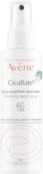 Avene Avene, Cicalfate+, Reparative, Mist Spray, Face & Body, 100 ml