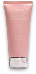 Dr Sebagh Dr Sebagh, Rose De Vie, Apă, Hidratant, Mască cremă, Pentru față, 100 ml Masca de fata