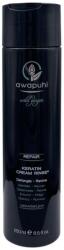 Awapuhi Wild Ginger By Paul Mitchell Awapuhi Wild Ginger By Paul Mitchell, Repair, Keratină, Cremă balsam pentru păr, Revigora, 250 ml