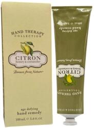 Crabtree & Evelyn Crabtree & Evelyn, Citron, Honey & Coriander, Anti-îmbătrânire, Cremă de mâini, 100 g