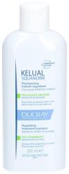 Ducray Ducray, Kelual Squanorm, Hair Treatment Shampoo, Anti-Dandruff & Sebum Control, For Scalp With Oily Dandruf, 200 ml