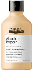 L'Oréal L'Oreal Professionnel, Serie Expert Absolut Repair, Proteină + Quinoa aurie, Șampon pentru păr, Resurfațare instantanee, 300 ml