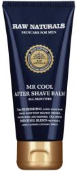 Raw Naturals Raw Naturals, Mr. Cool, 100% vegan, Refreshing, After-Shave Balm, 100 ml