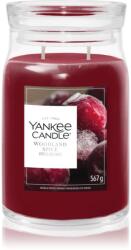 Yankee Candle Woodland Spice lumânare parfumată 567 g
