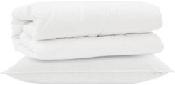 vidaXL Takaró szett párnával 2 pcs Fehér Mikroszálas 3376804 (3376804VidaXL)