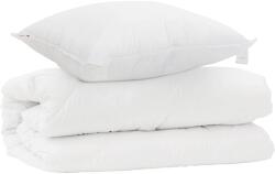 vidaXL Takaró szett párnával 2 pcs Fehér Mikroszálas 3376805 (3376805)
