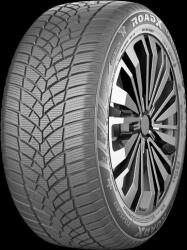 RoadX Frost Tempo 205/55 R17 95V (8848116062329) - anvelomag