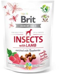 Brit BRIT Care Crunchy Cracker, Insecte și Miel cu Zmeură, recompense fără cereale câini, 200g