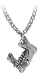 Alchemy Gothic colier cu pandantiv ALCHEMY GOTHIC - Nihility - P1023