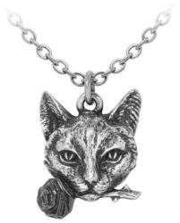 Alchemy Gothic colier cu pandantiv ALCHEMY GOTHIC - Pendle Hill Imp - P1022