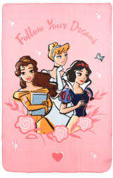 Disney Hercegnők Follow Your Dreams polár takaró 100x150cm