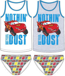 Disney Verdák Dust trikó + alsó szett 3 - 8 év / 98 - 128 cm