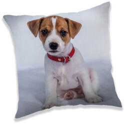 Kutyás Jack Russell párna, díszpárna 40x40 cm
