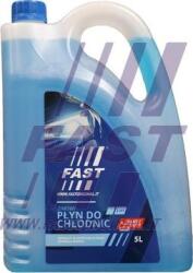 Fast FT98111 - Antigel - Fast-FT98111 (FASTFT98111)