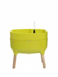Plastia Recipient cu creștere joasă Urbalive - verde U955130 (U955130)
