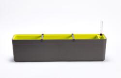 Plastia Cutie Berberis 80 cm - gri verde U148024 (U148024)
