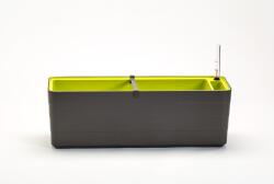 Plastia Cutie Berberis 60 cm - gri verde U196024 (U196024)