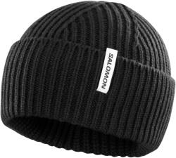 Salomon Snowbird Beanie U sapka fekete