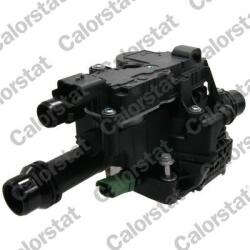 CALORSTAT by Vernet Termostat, lichid racire CALORSTAT by Vernet TM2401J (TM2401J)