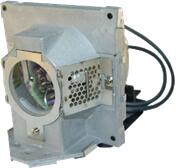 BenQ 5J. J2D05.001 lampă generică cu modul (5J.J2D05.001)