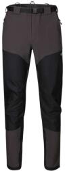 Directalpine Pantaloni bărbați MOUNTAINER TECH 2.0 antracit/negru - gri M