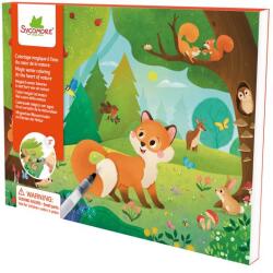 Sycomore Pockets - pictură magică cu apă - animale în natură (SYC_CRE4114)