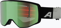 Alpina Ochelari de schi Alpina Venet Q-Lite black/green matt