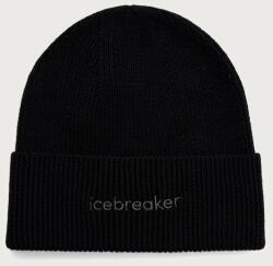 Icebreaker beanie merinógyapjúból Merino All Day - fekete Univerzális méret