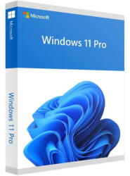 Microsoft SW RET WIN 11 PRO FPP 64B/ENG USB HAV-00163 MS (HAV-00163)