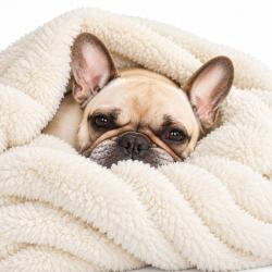CKB Ltd Pătură pentru animale de companie Snug-Rug 120 × 88 cm - crem