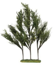 Luville General Tree dark green