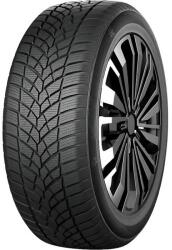 RoadX Frost Tempo 225/55 R16 99V (8848116061841) - anvelocar