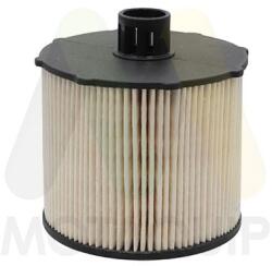 MOTAQUIP filtru combustibil MOTAQUIP LVFF842 (LVFF842) - automobilus