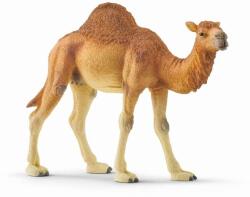 Schleich Schleich, Wild Life, Camila dromader, figurina, 14832 Figurina