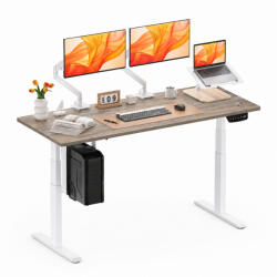 StableDesk Birou reglabil electric StableDesk Pro, 2 motoare, Ridica 125 kg, Organizator cabluri, Touchscreen, Aplicatie Smart Telefon, Ergonomic, 3 Functii de M (SD-101-AL-D-SG-100x60)