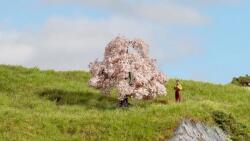 Noch Cherry (DV08622)
