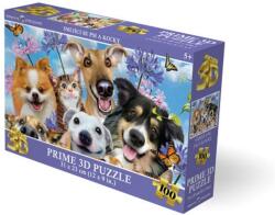  Puzzle 3D - nevető kutyák és macskák