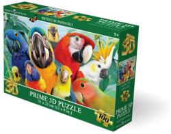  Puzzle 3D - Nevető papagájok