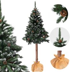 Bauerkraft Brad artificial de Crăciun pe trunchi 180 cm, pin diamant cu conuri, înzăpezit