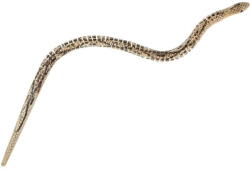 LG Imports Sarpe lemn 50cm LG Imports LG9498, educativ, interactiv, culoare natur (LG9498_Initiala)