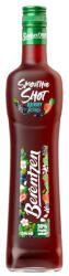 Berentzen Berry Kiss 0.5l DRS 15%