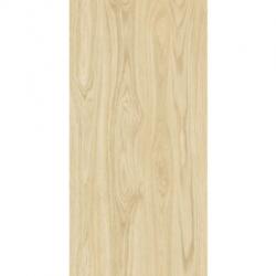 Kai Tilia Honey 60x120 (3696)