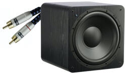 SVS SB-1000 + SVS Soundpath 2 m